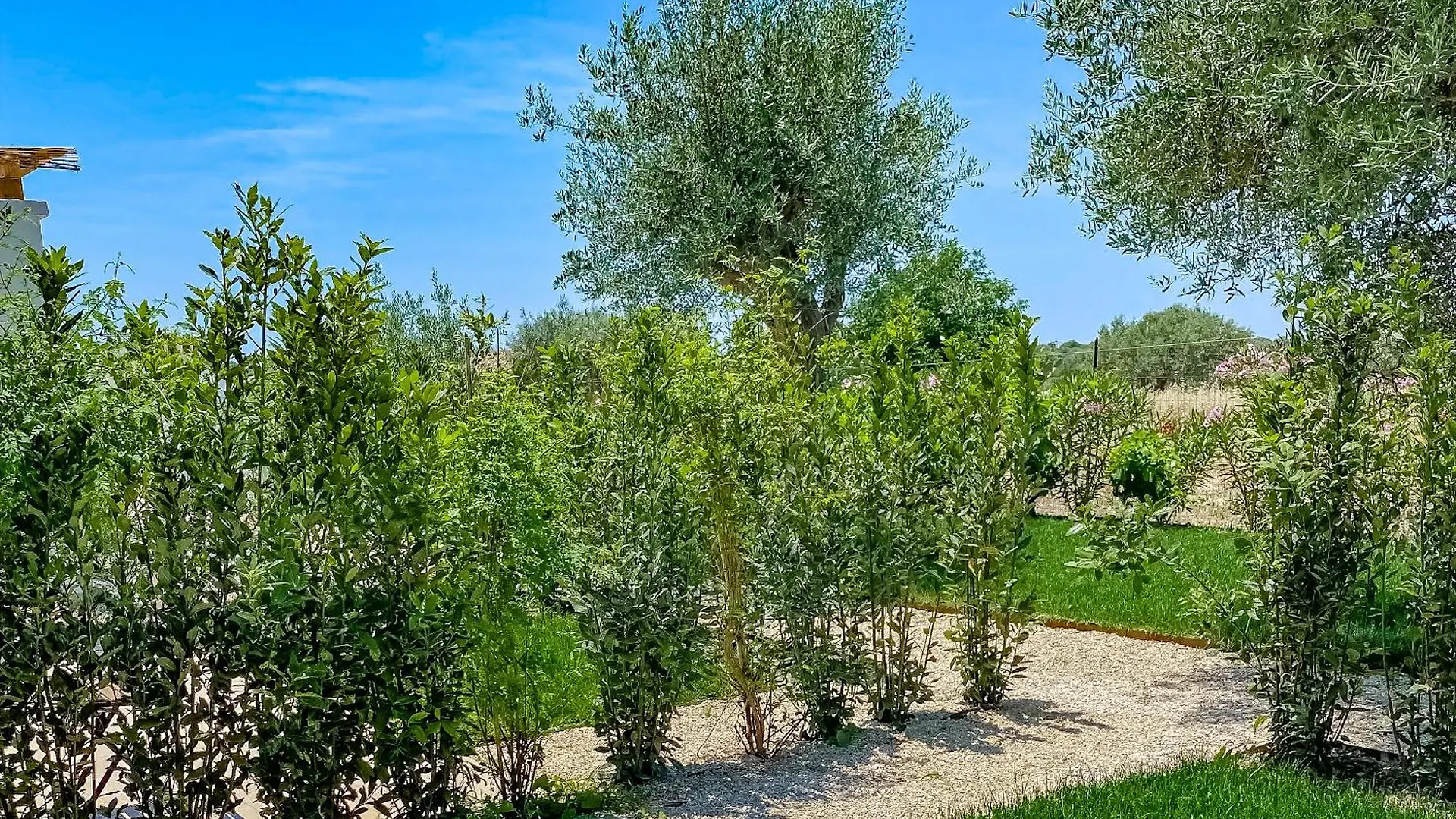 Frühstückspension Bed and Breakfast Dimora Calauriia - Adults Only Noto Italien