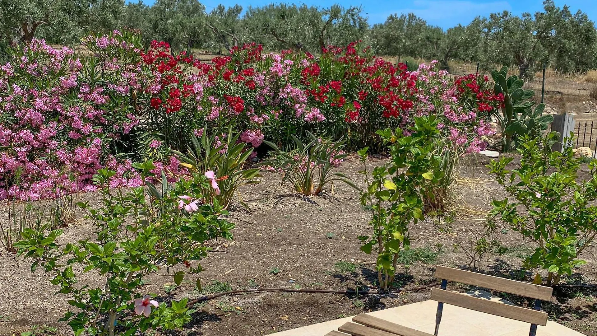 Dimora Calauriia - Adults Only Bed & Breakfast Noto 0*,  Italy
